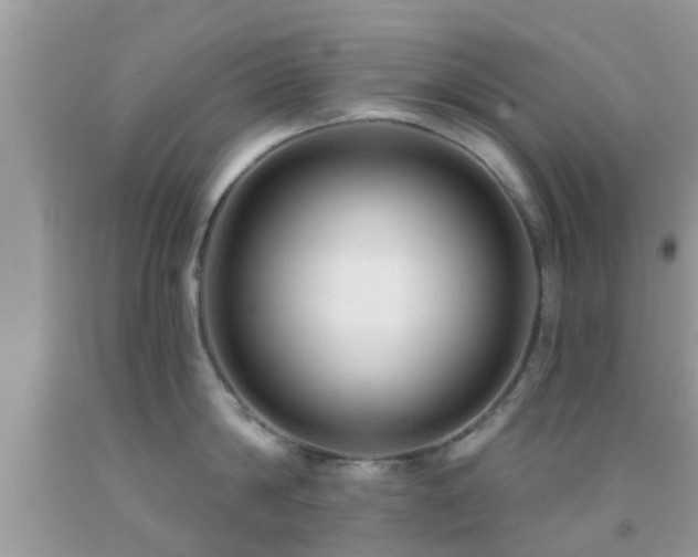 X0000092030814200709061613