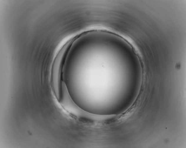 X0000092030815200709061613