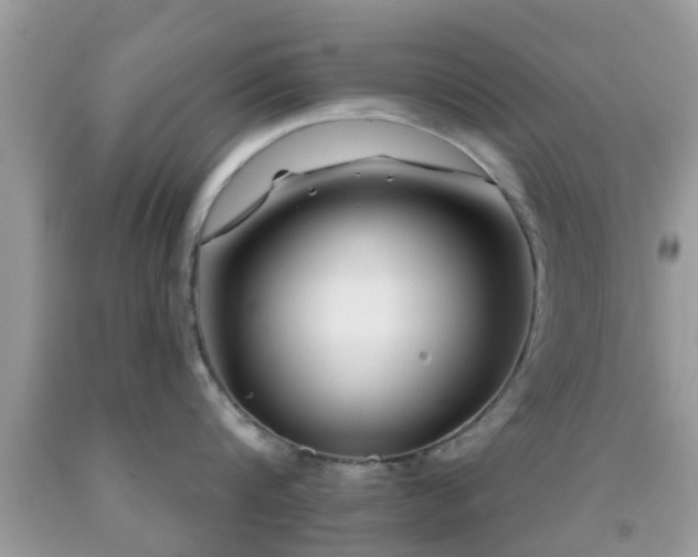 X0000092030816200709061613