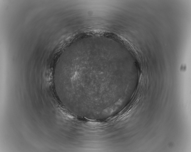 X0000092030818200709061612