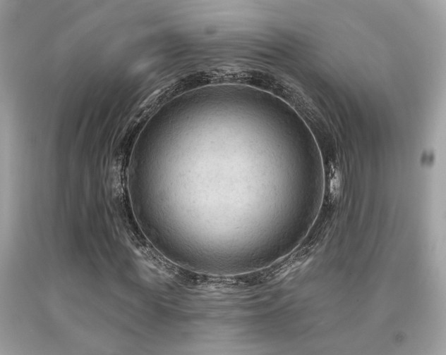 X0000092030819200709061612