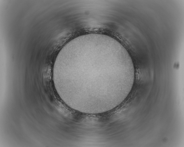 X0000092030820200709061612