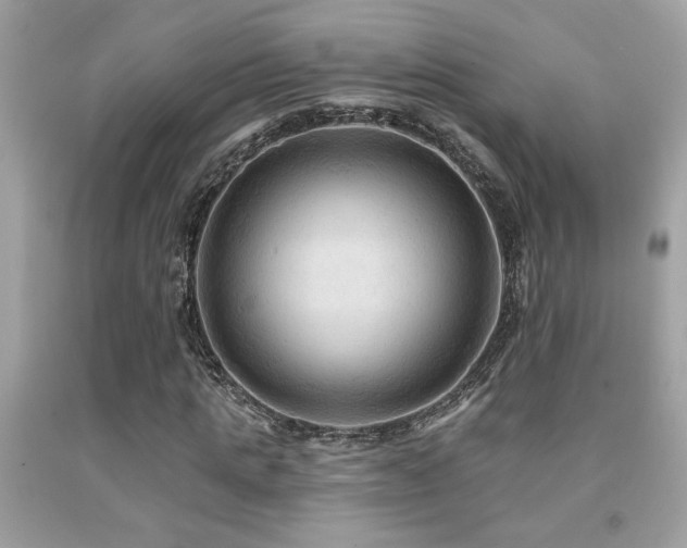 X0000092030821200709061612