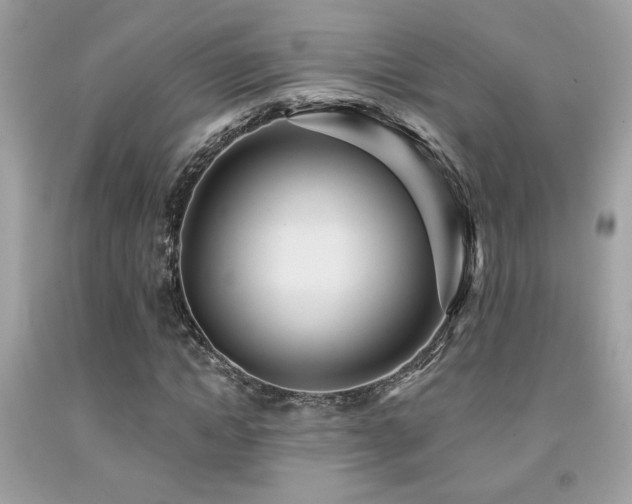 X0000092030822200709061612