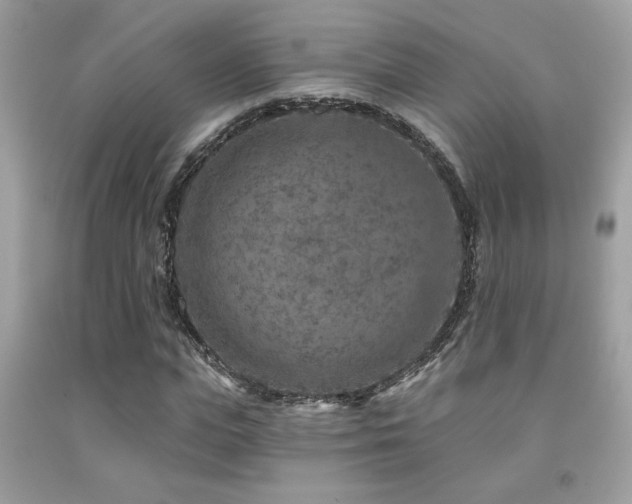 X0000092030823200709061612