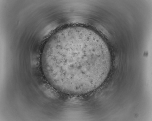 X0000092030824200709061612