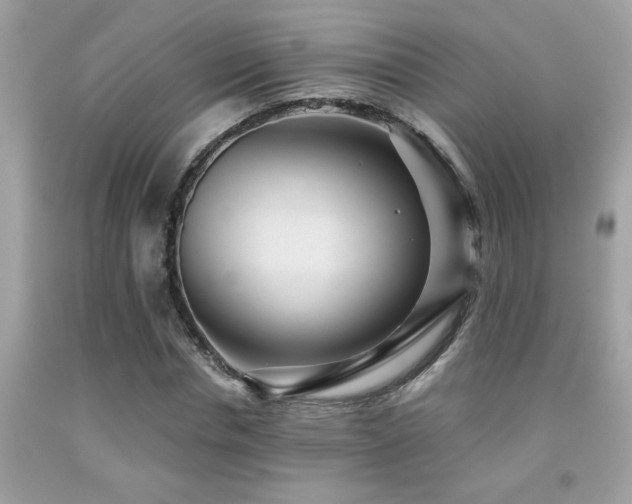 X0000092030826200709061612