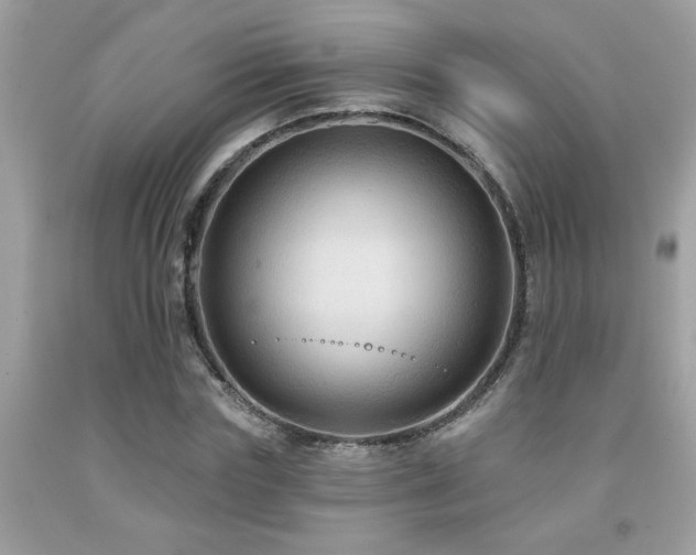X0000092030827200709061612