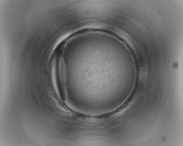 X0000092030829200709061612