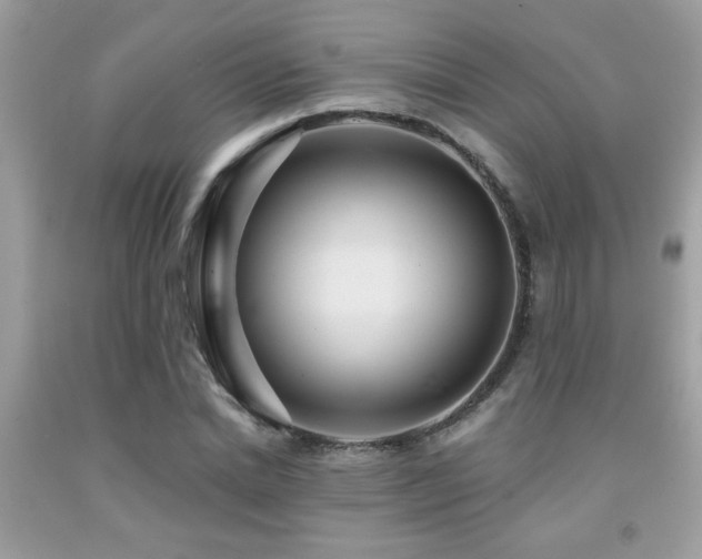 X0000092030830200709061612