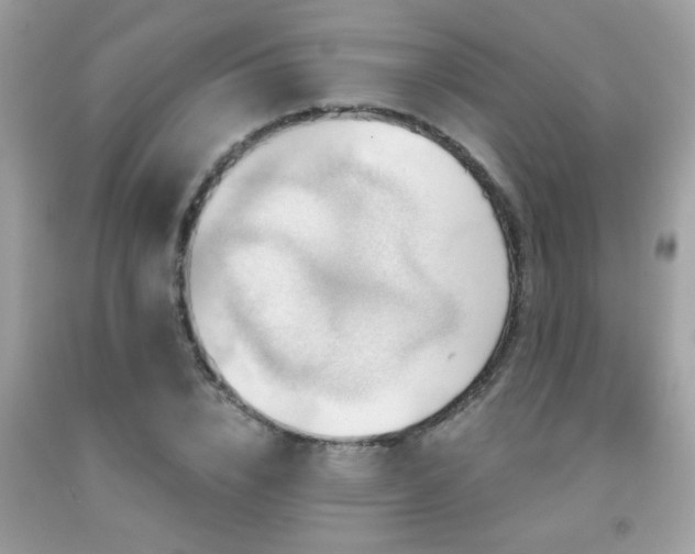 X0000092030832200709061613