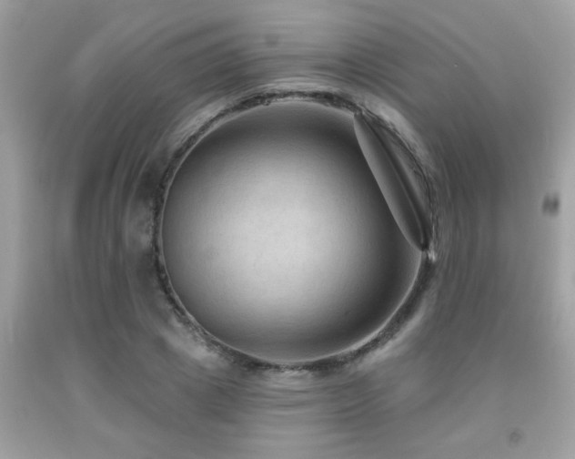 X0000092030833200709061613