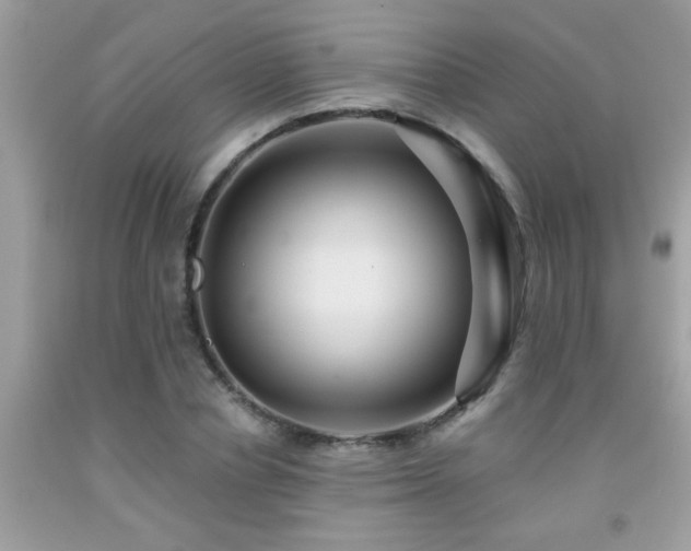 X0000092030834200709061613