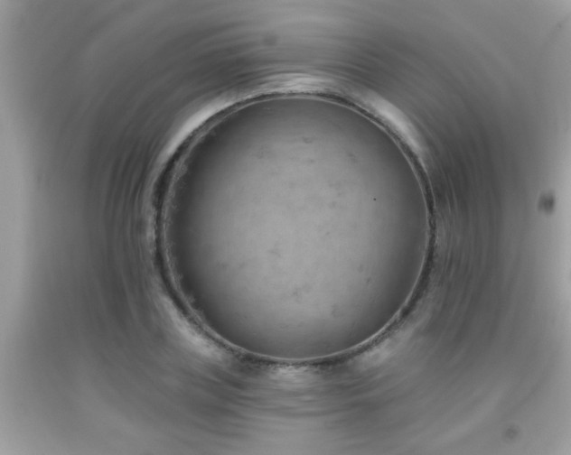 X0000092030835200709061613