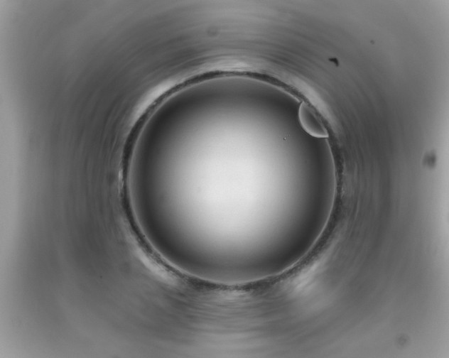X0000092030837200709061613
