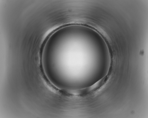 X0000092030838200709061613