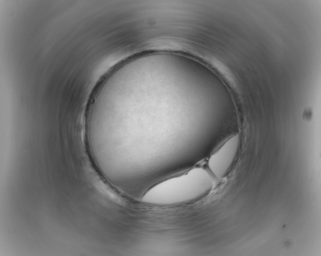 X0000092030840200709061613