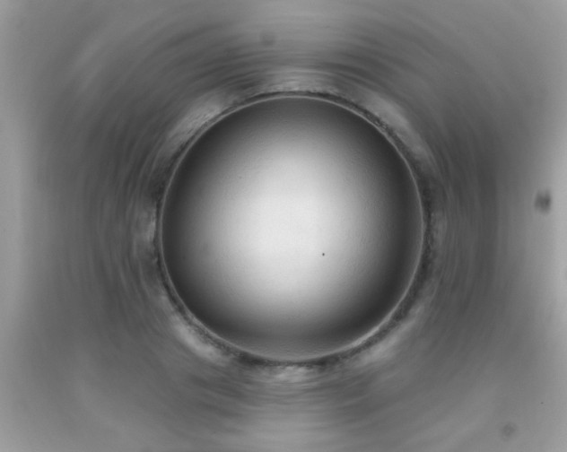X0000092030841200709061613