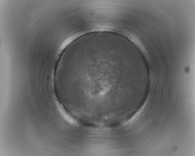 X0000092030842200709061613