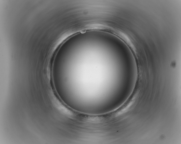 X0000092030843200709061613