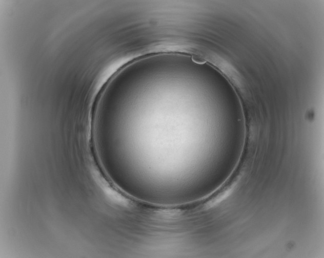 X0000092030844200709061613