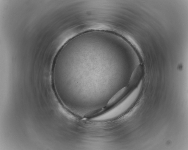 X0000092030845200709061613