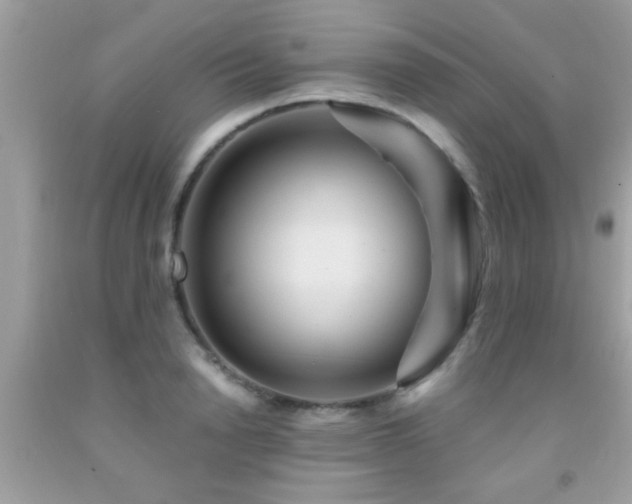X0000092030846200709061613