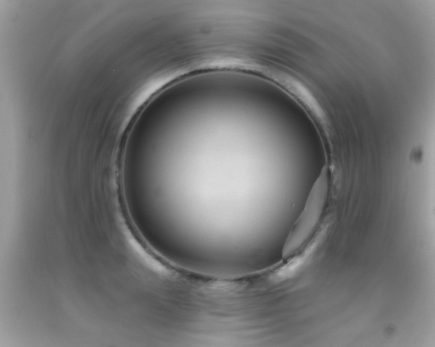 X0000092030847200709061613