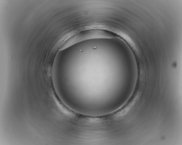 X0000092030849200709061613