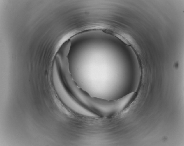 X0000092030850200709061613