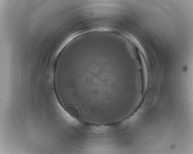 X0000092030851200709061613