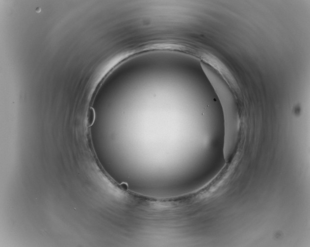 X0000092030852200709061613