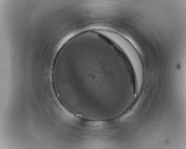 X0000092030853200709061613