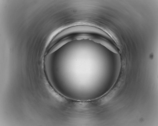 X0000092030854200709061613