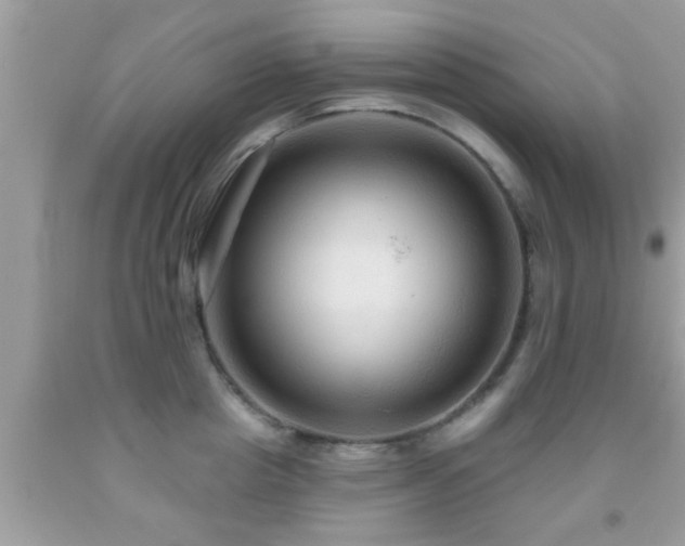 X0000092030857200709061613