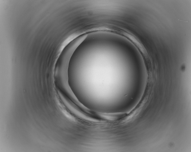 X0000092030858200709061613
