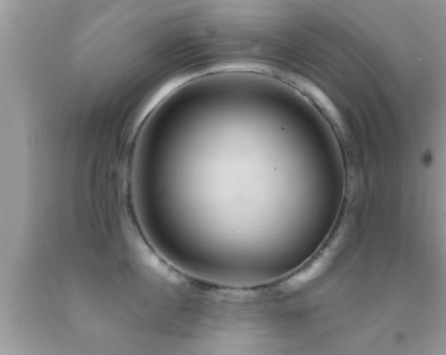 X0000092030860200709061613