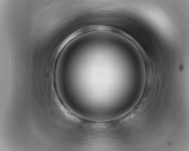 X0000092030861200709061613