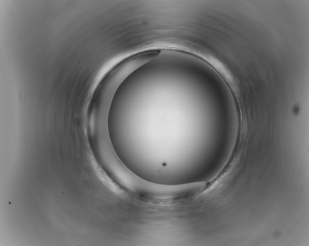 X0000092030862200709061613
