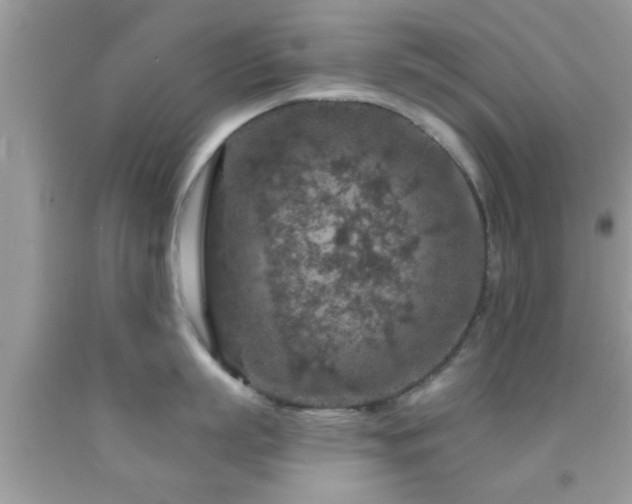 X0000092030863200709061613