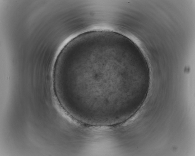 X0000092030864200709061613