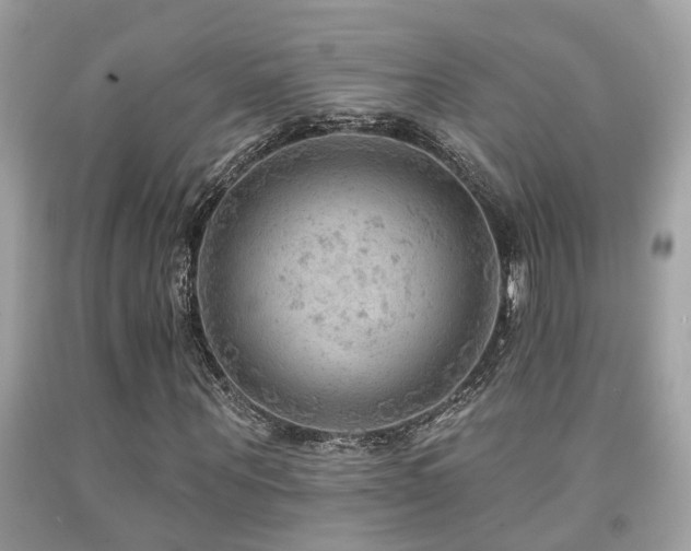 X0000092030867200709061612