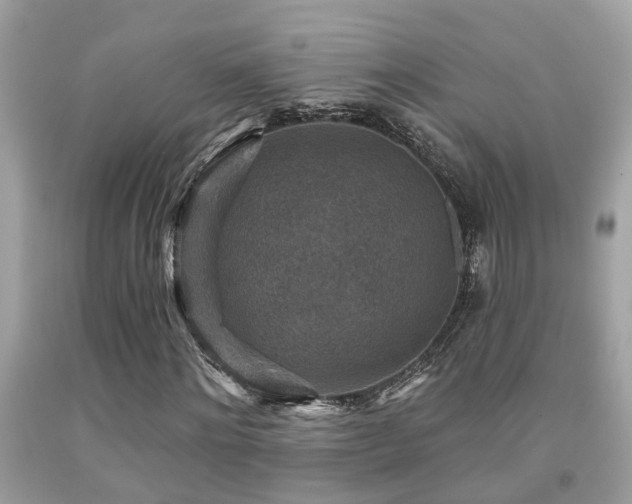 X0000092030868200709061612