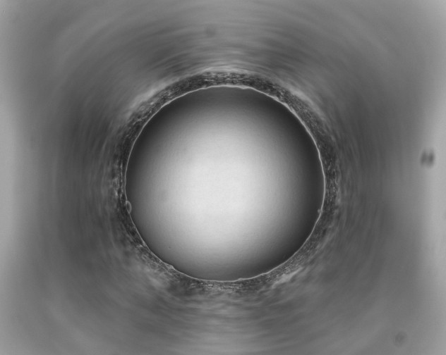 X0000092030870200709061612