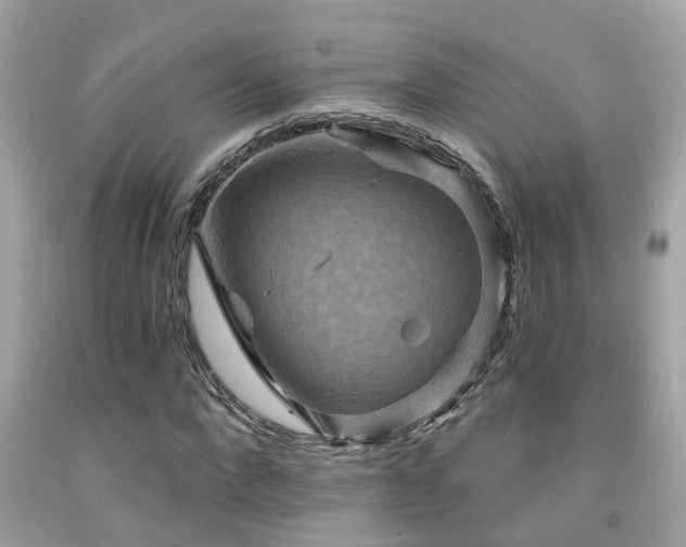 X0000092030872200709061612