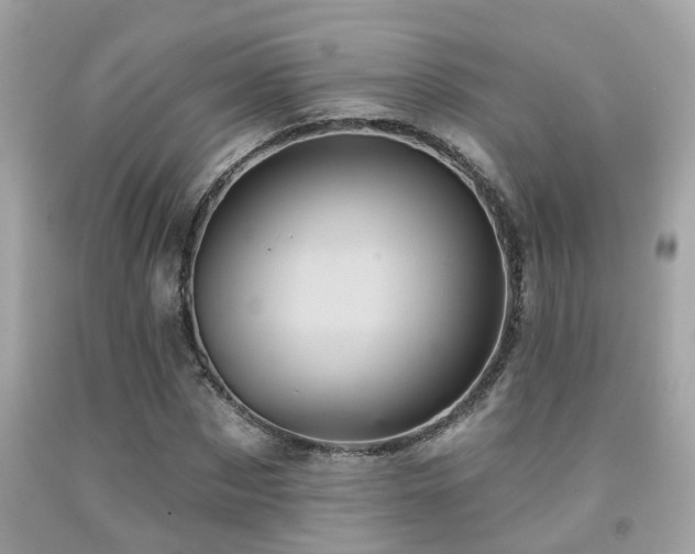 X0000092030873200709061612
