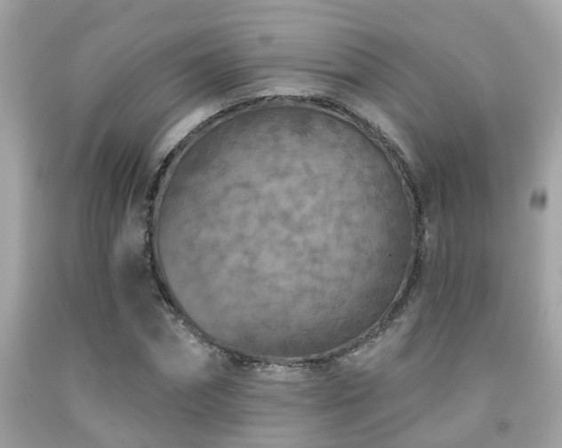 X0000092030874200709061612
