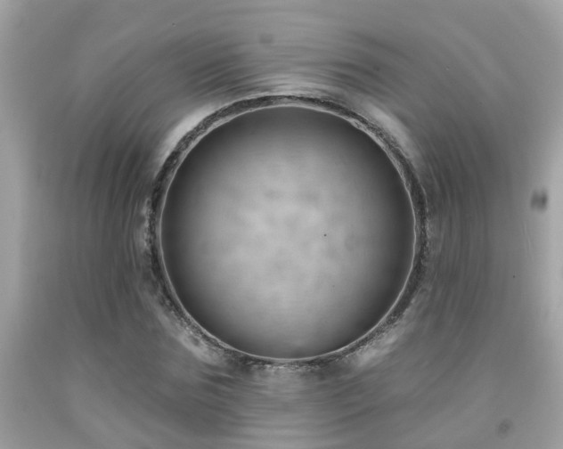 X0000092030875200709061612