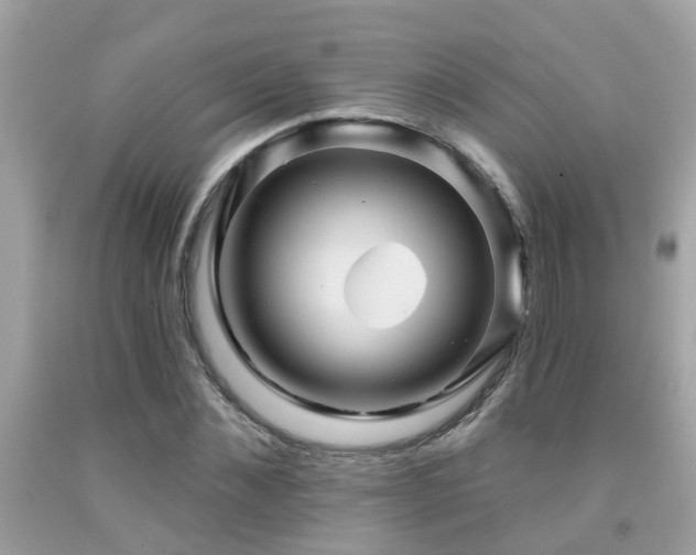 X0000092030876200709061612