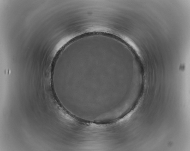 X0000092030877200709061612